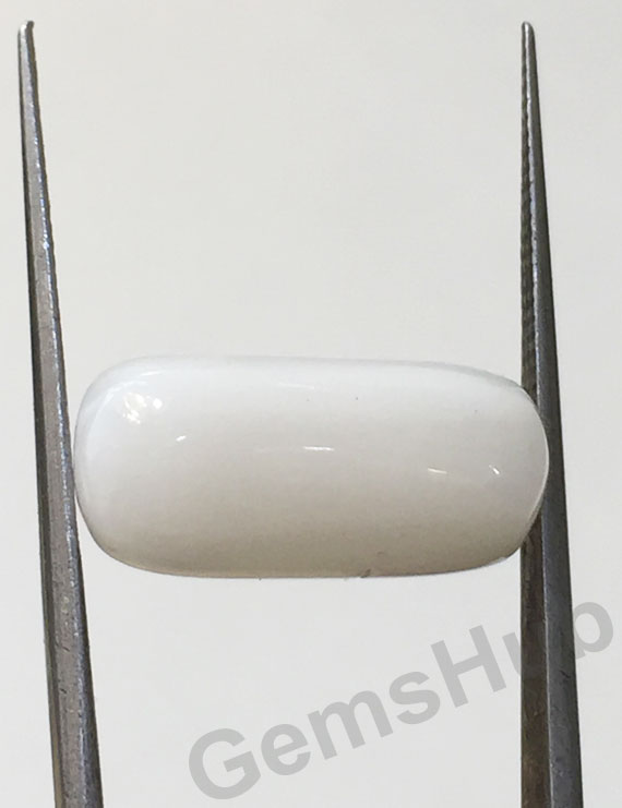 8.20 ct Natural Certified  White Coral/सफ़ेद मूंगा